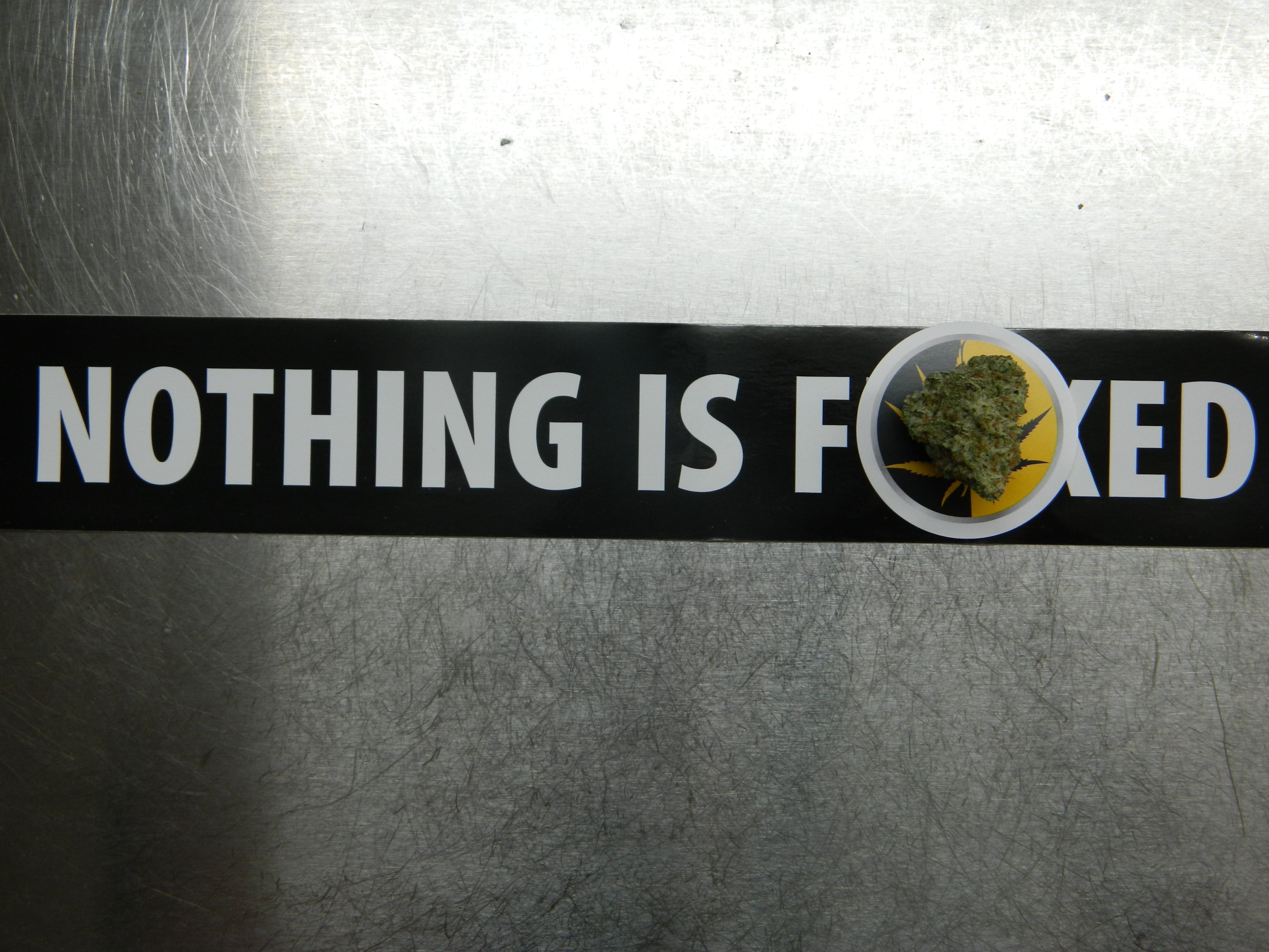 gear-sweet-relief-nothing-is-fked-sticker