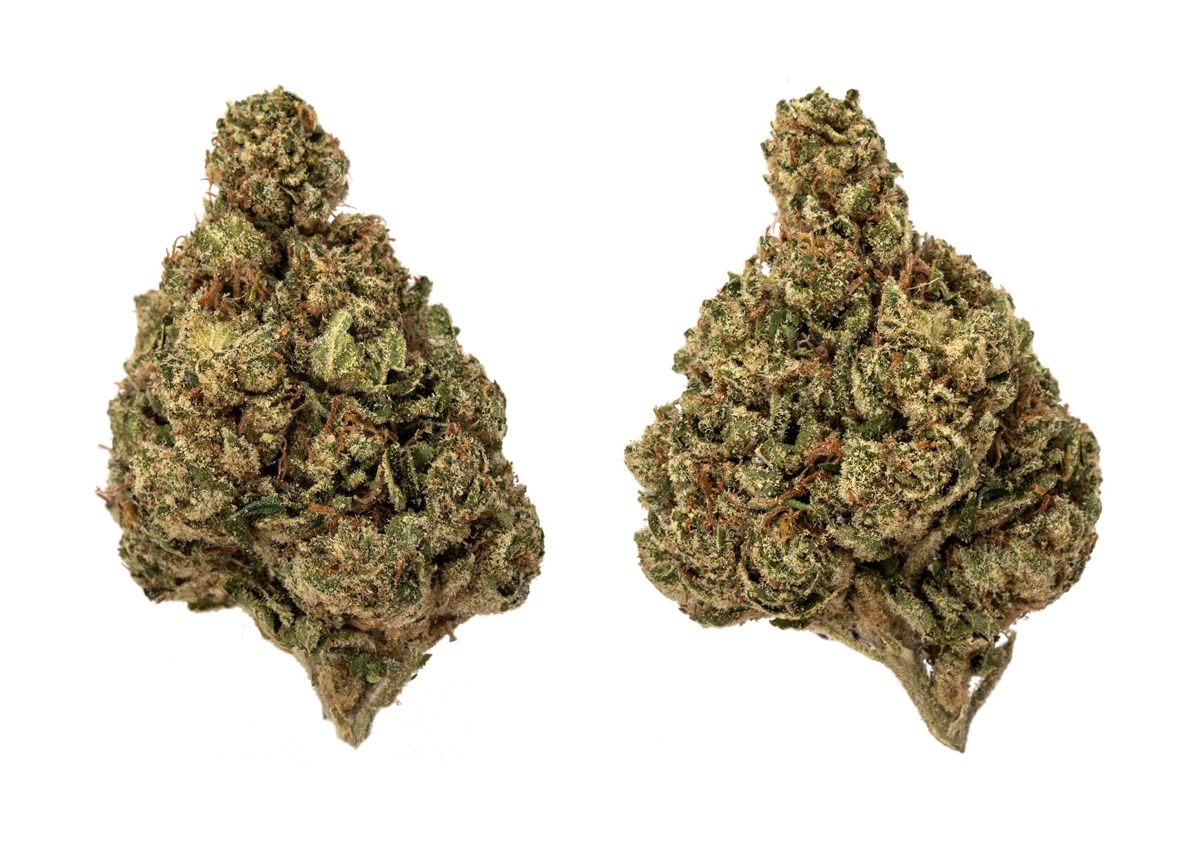 marijuana-dispensaries-1834-newport-blvd-unit-c-costa-mesa-syndicate-og