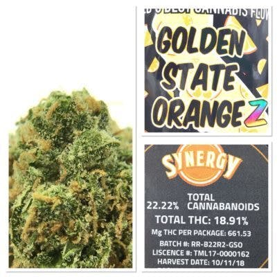 Synergy - Golden State OrangeZ