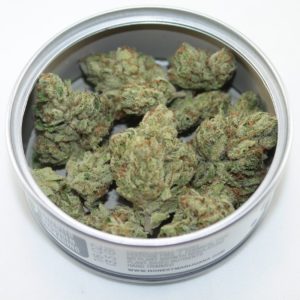 Tahoe Alien - Honest Marijuana