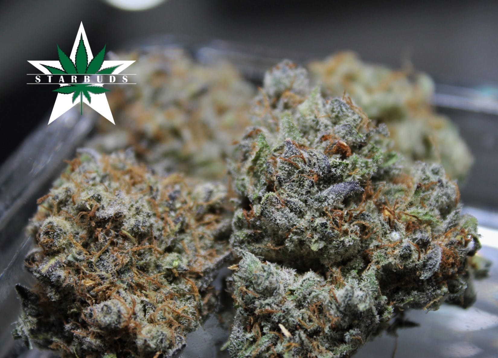 marijuana-dispensaries-5975-belair-rd-baltimore-tahoe-og-kush-special