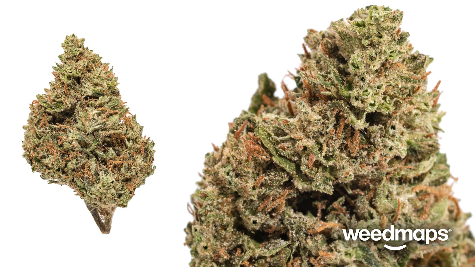 marijuana-dispensaries-happy-root-420-2c-llc-in-oklahoma-city-tahoe-og