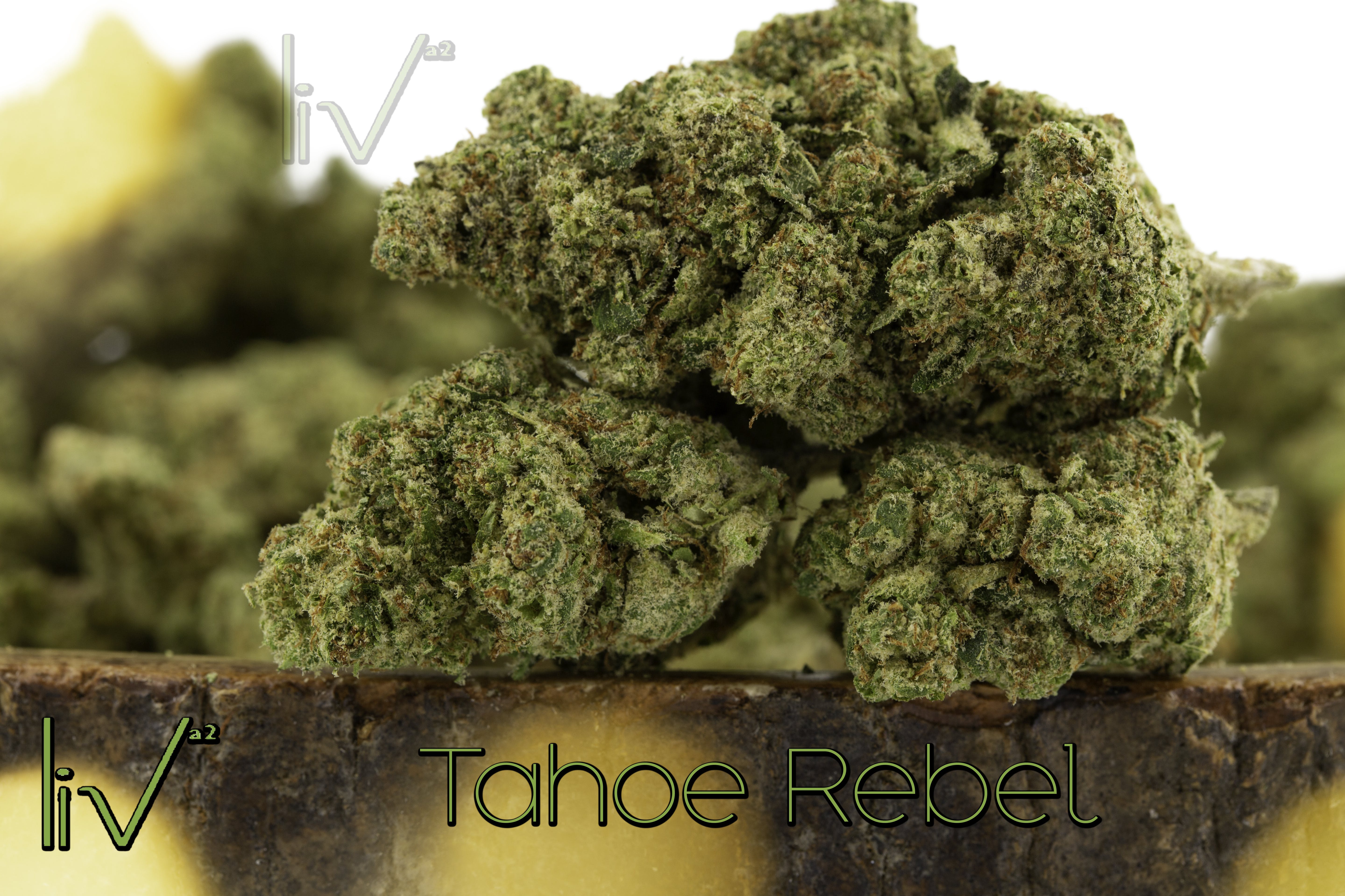 marijuana-dispensaries-603-e-william-st-ann-arbor-tahoe-rebel-hybrid-indica