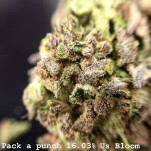 Talking Trees - Pack A Punch 3.5g