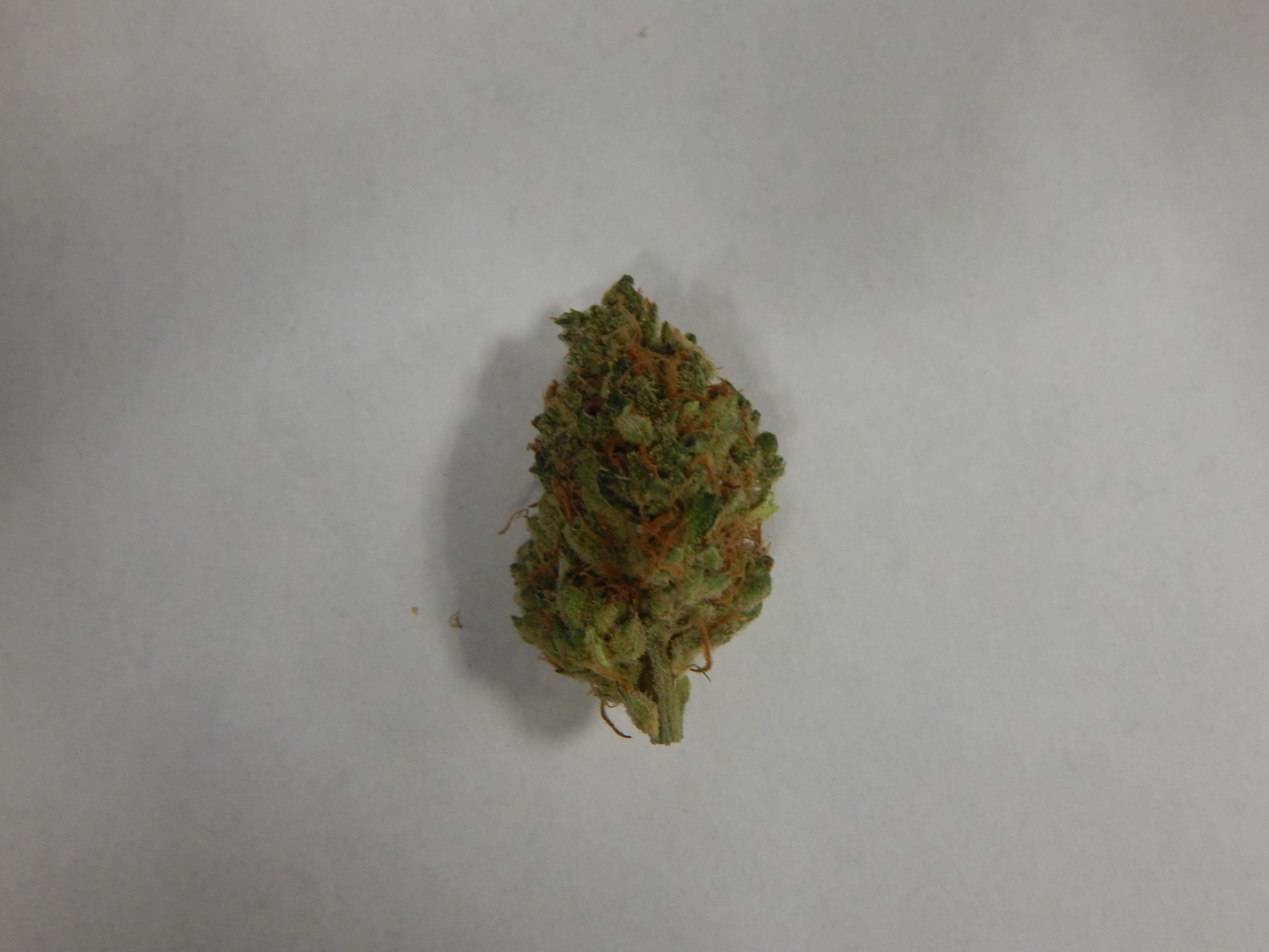 marijuana-dispensaries-823a-elkridge-landing-road-linthicum-heights-tang-a-rang-aka-agent-orange