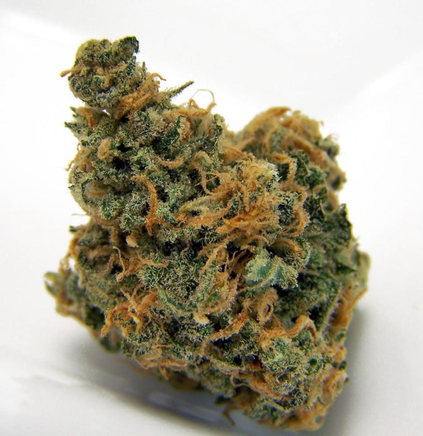 marijuana-dispensaries-7520-foothill-blvd-tujunga-tangerine-dream-5g-40-45