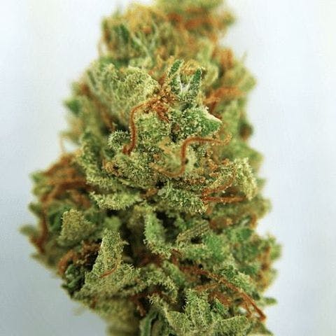 marijuana-dispensaries-25916-s-western-ave-lomita-tangerine-dream-5g-40456g-4050