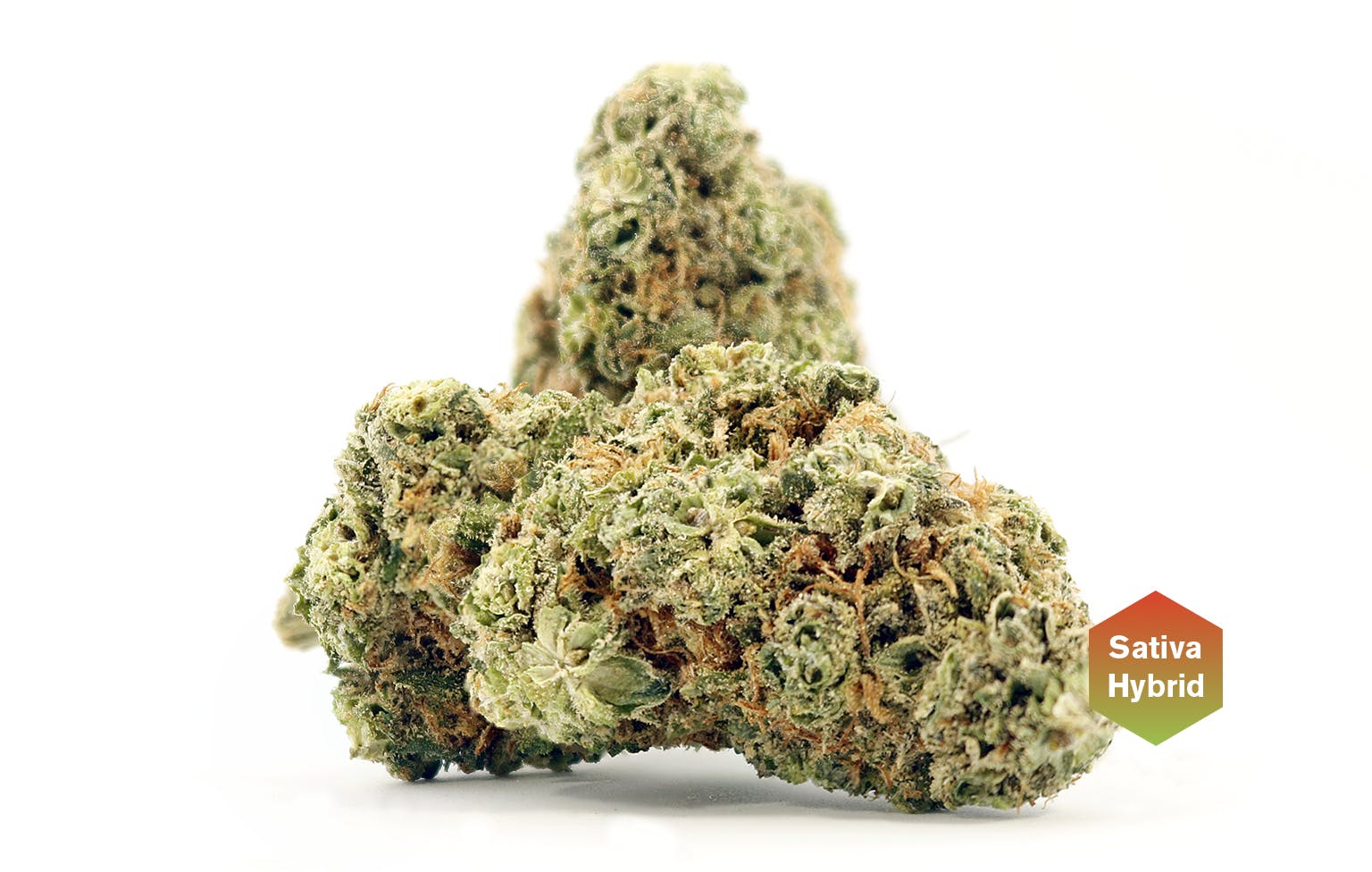 marijuana-dispensaries-1605-e-2nd-st-suite-23103-reno-tangerine-gow