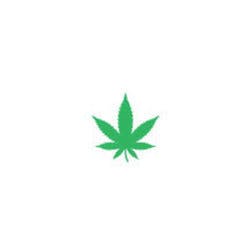 marijuana-dispensaries-green-cross-caregivers-in-denver-tangerine-haze