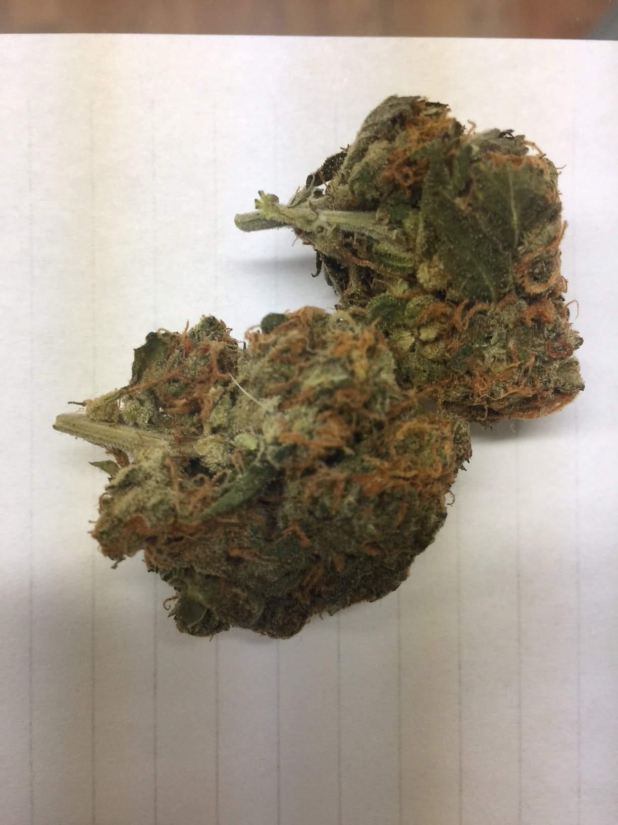 marijuana-dispensaries-garden-remedies-melrose-in-melrose-tangerine-kush