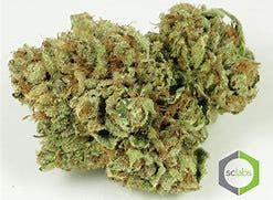 marijuana-dispensaries-22148-ventura-blvd-woodland-hills-tangerine-sunrise