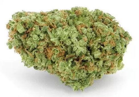 marijuana-dispensaries-11221-venice-blvd-los-angeles-tangerine-sunshine