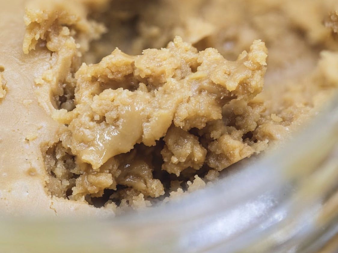 concentrate-tangie-batter
