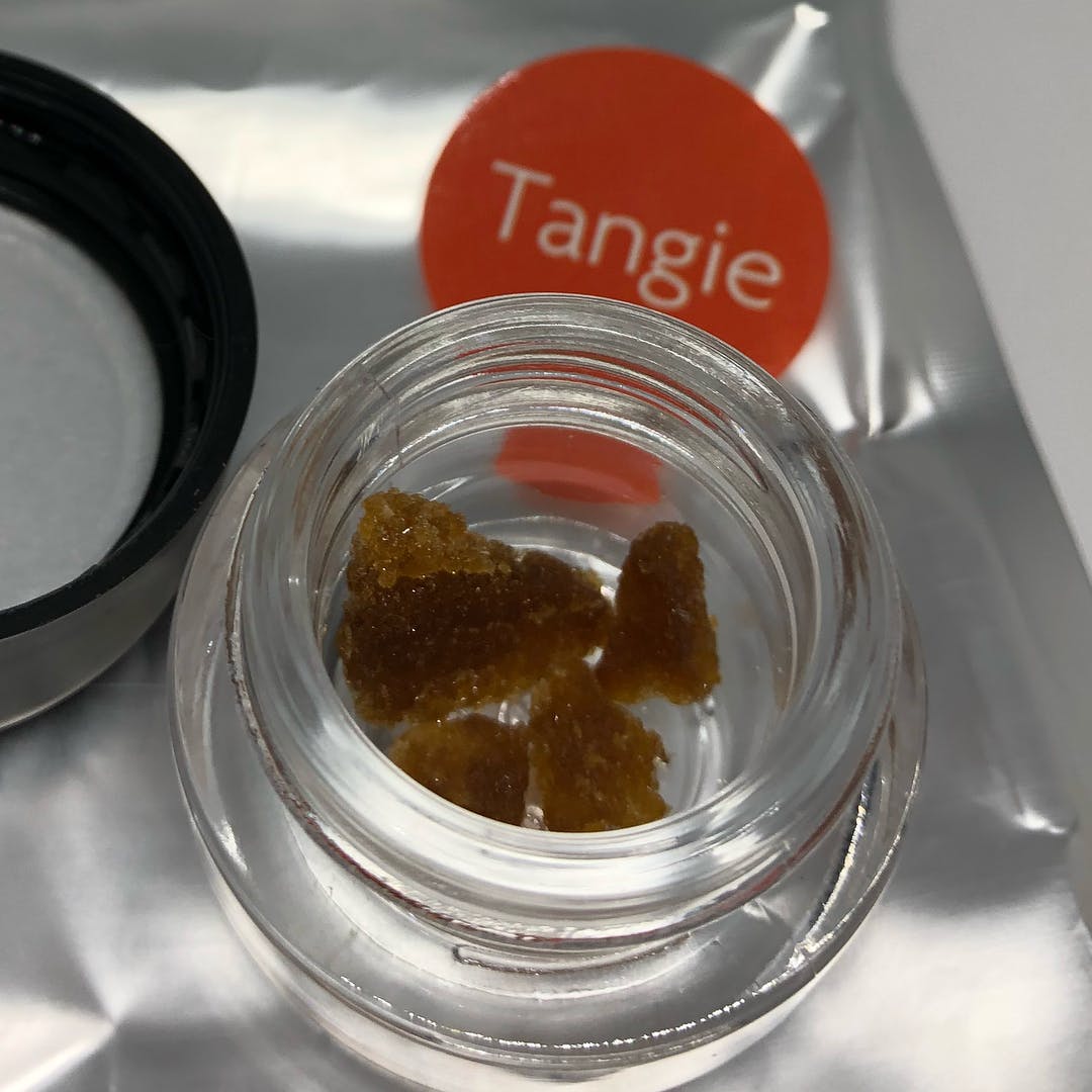 concentrate-tangie-live-sugar