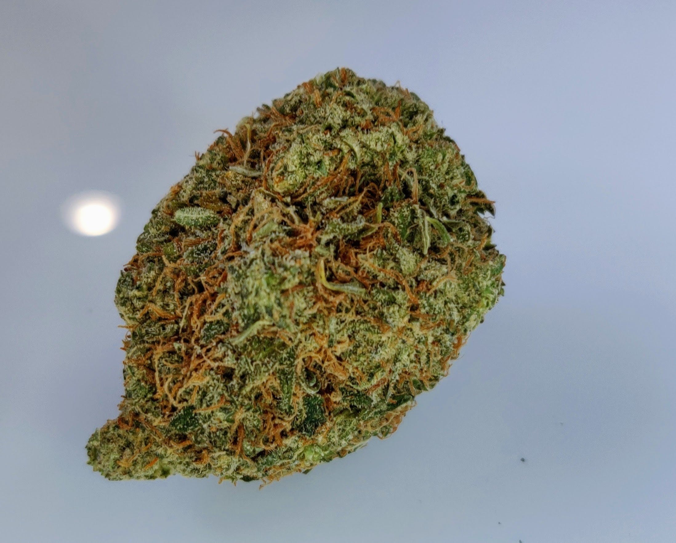 marijuana-dispensaries-green-health-clinic-and-dispensary-in-edmond-tangie