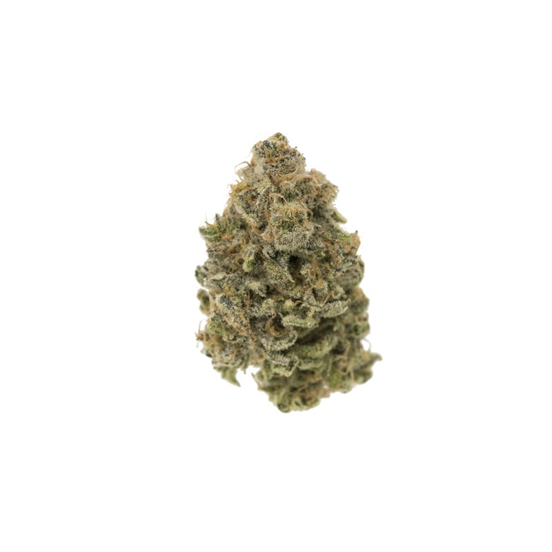 Tangistan Kush - COLD CURED