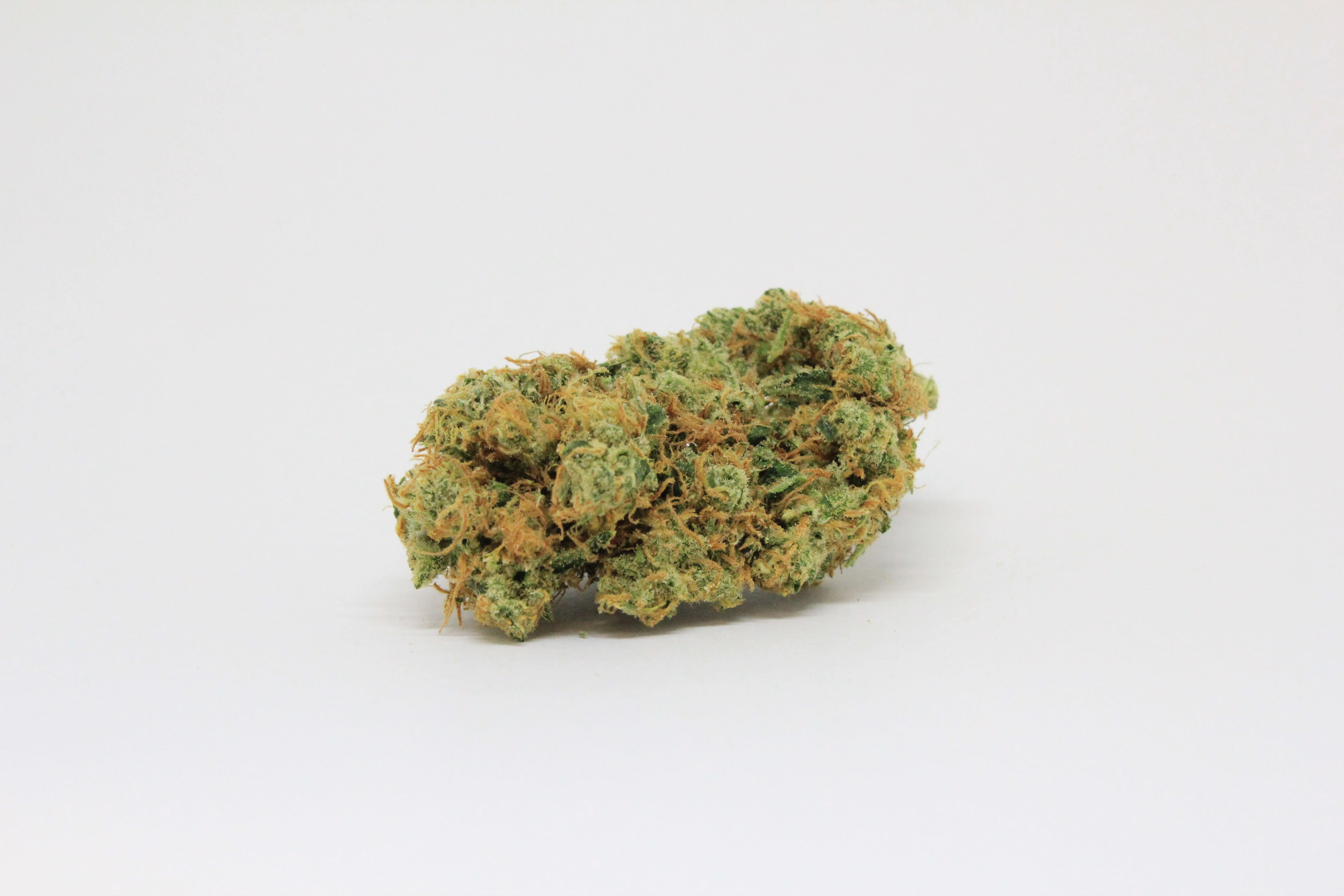 marijuana-dispensaries-kaya-cannabis-colfax-med-in-denver-tango-18