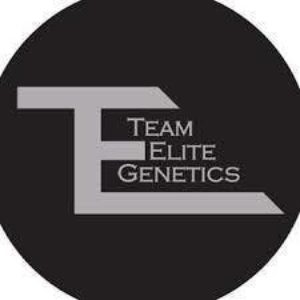 Team Elite Genetics | Creme De La Creme