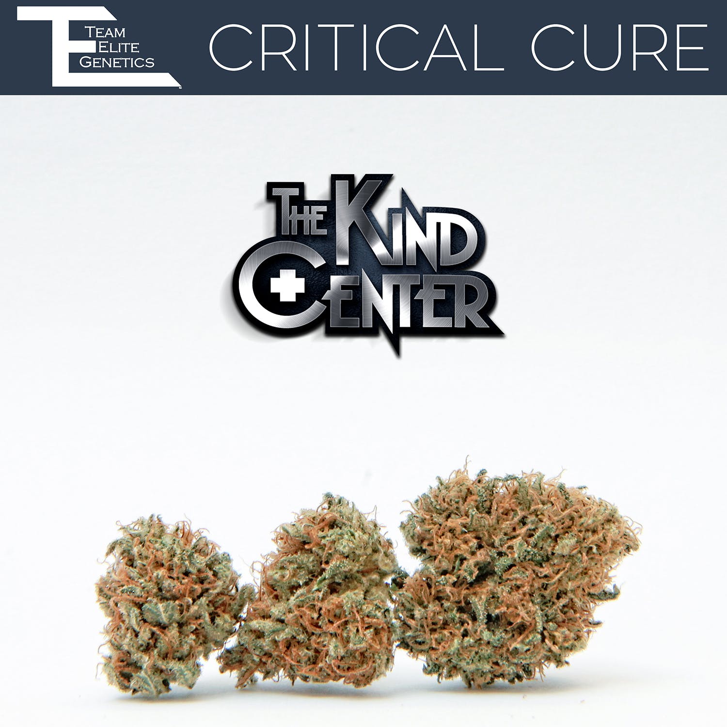 marijuana-dispensaries-the-kind-center-2c-inc-in-hollywood-team-elite-genetics-critical-cure