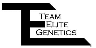 Team Elite Genetics- Extreme Cream 1/8th