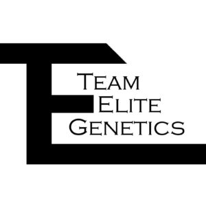 Team Elite Genetics - Kosher Kush