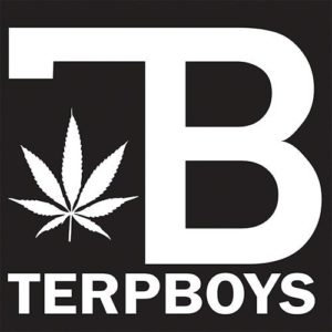 Terp Boys - Raspberry Sorbet