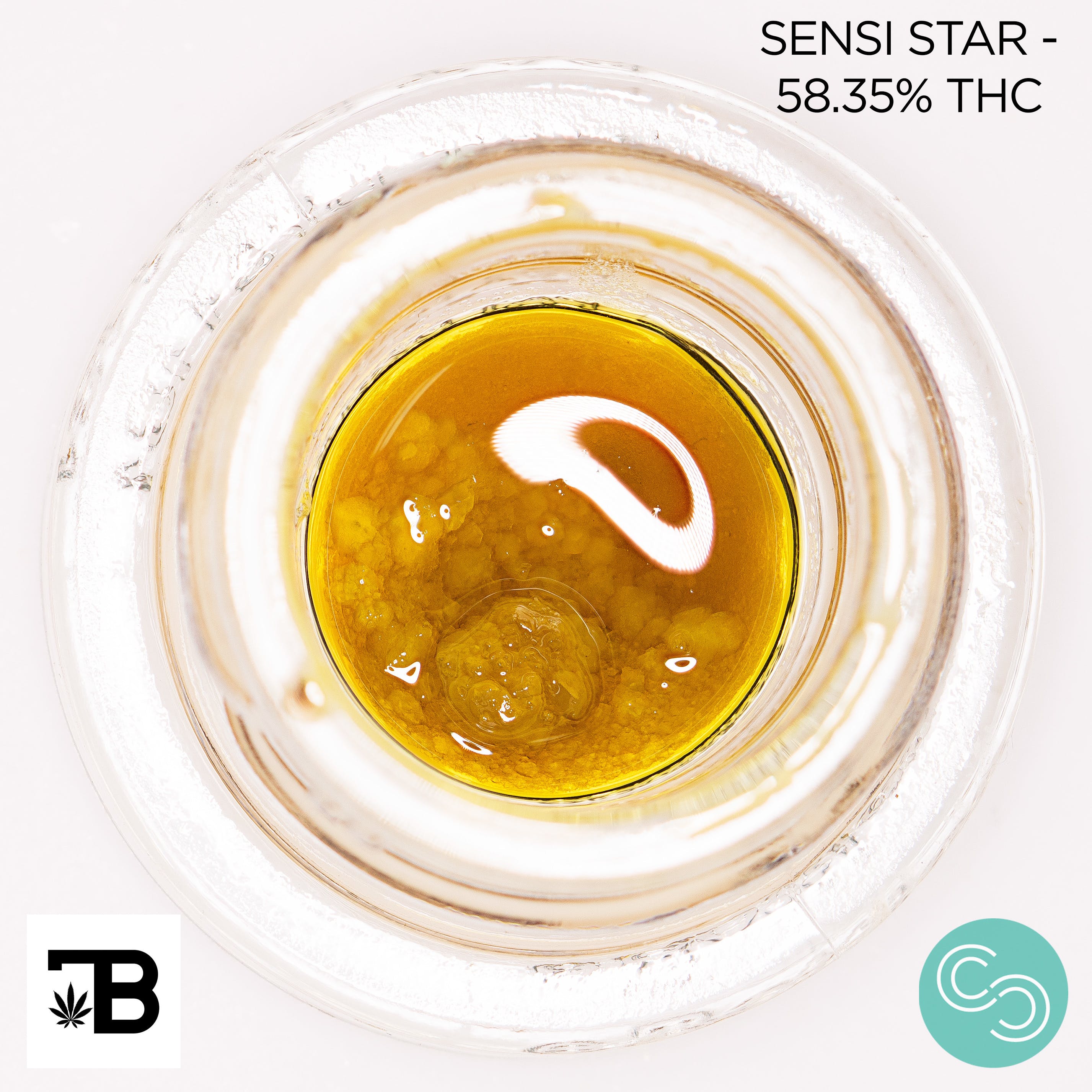 Terp Boys - Sensi Star - 58.35% THC