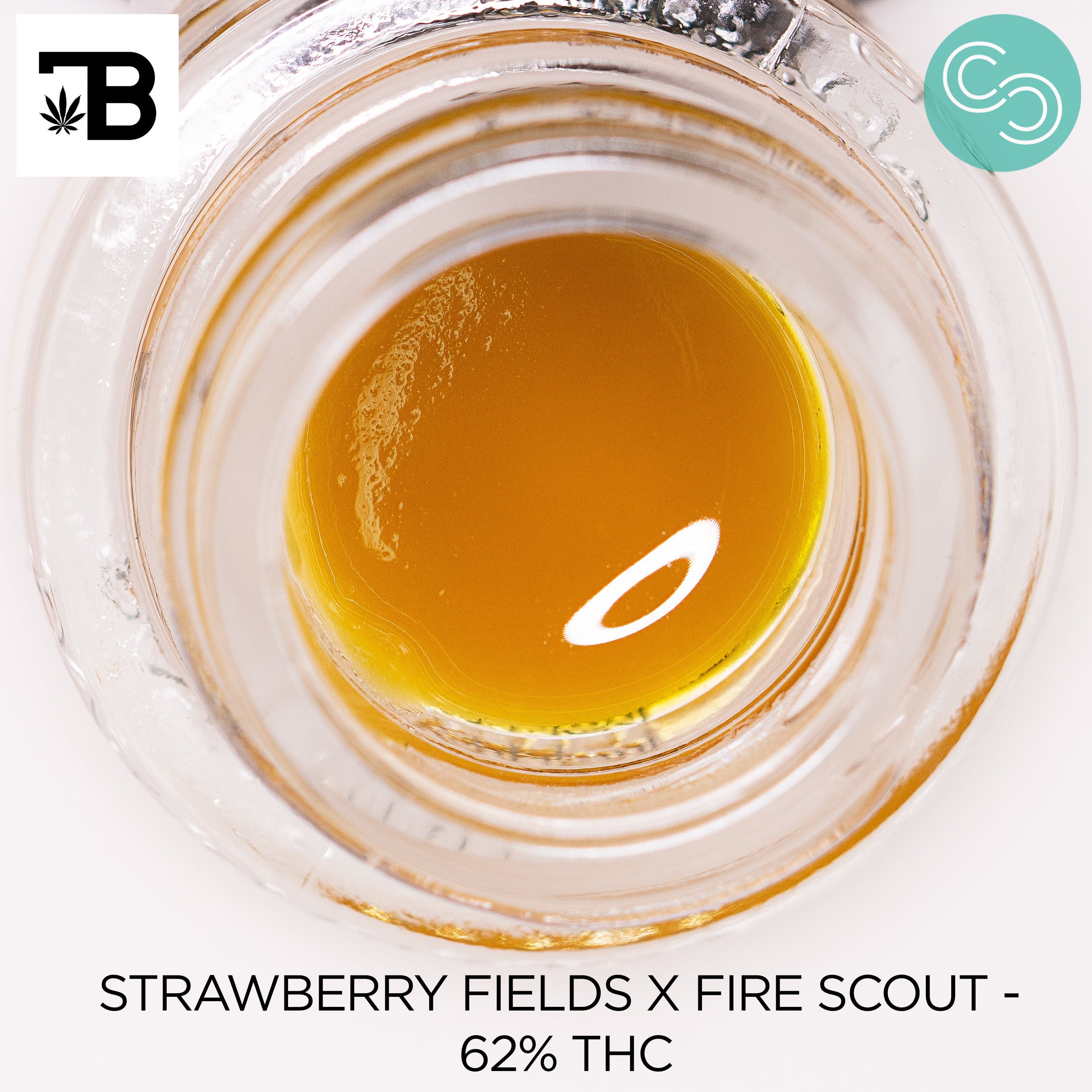 Terp Boys - Strawberry Fields x Fire Scout - 62% THC