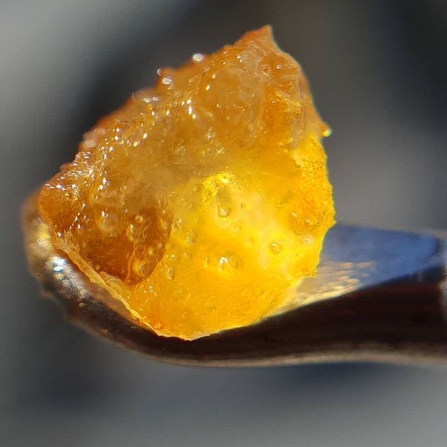 TERP EXTRACTS 1G LIVE RESIN CHEESE CAKE