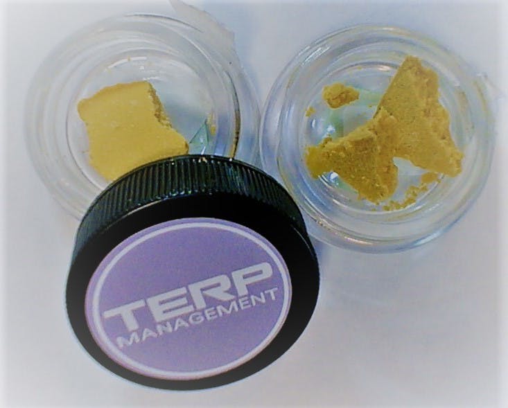 concentrate-terp-management