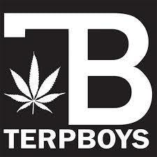 marijuana-dispensaries-618-pine-st-ramona-terpboys-killer-fruit-live-resin-sauce