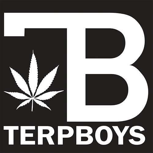 Terpboys - Orange Creamsicle Sauce 1g