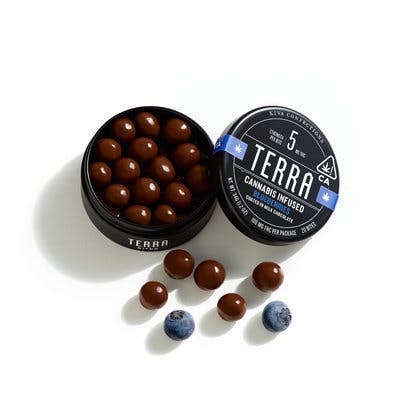 Terra Bites - Milk Chocolate Blueberry