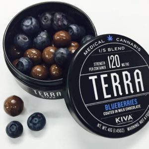 Terra Chocolate Covered Blueberries