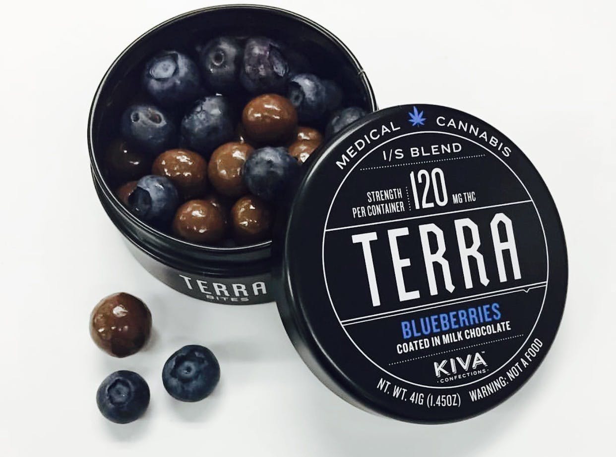 edible-terra-chocolate-covered-blueberries