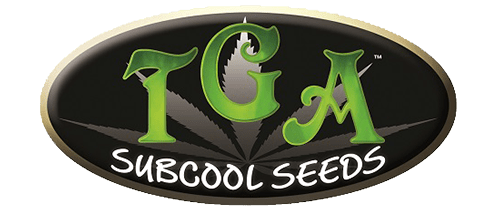TGA Subcool Seeds - Regular 5 pack