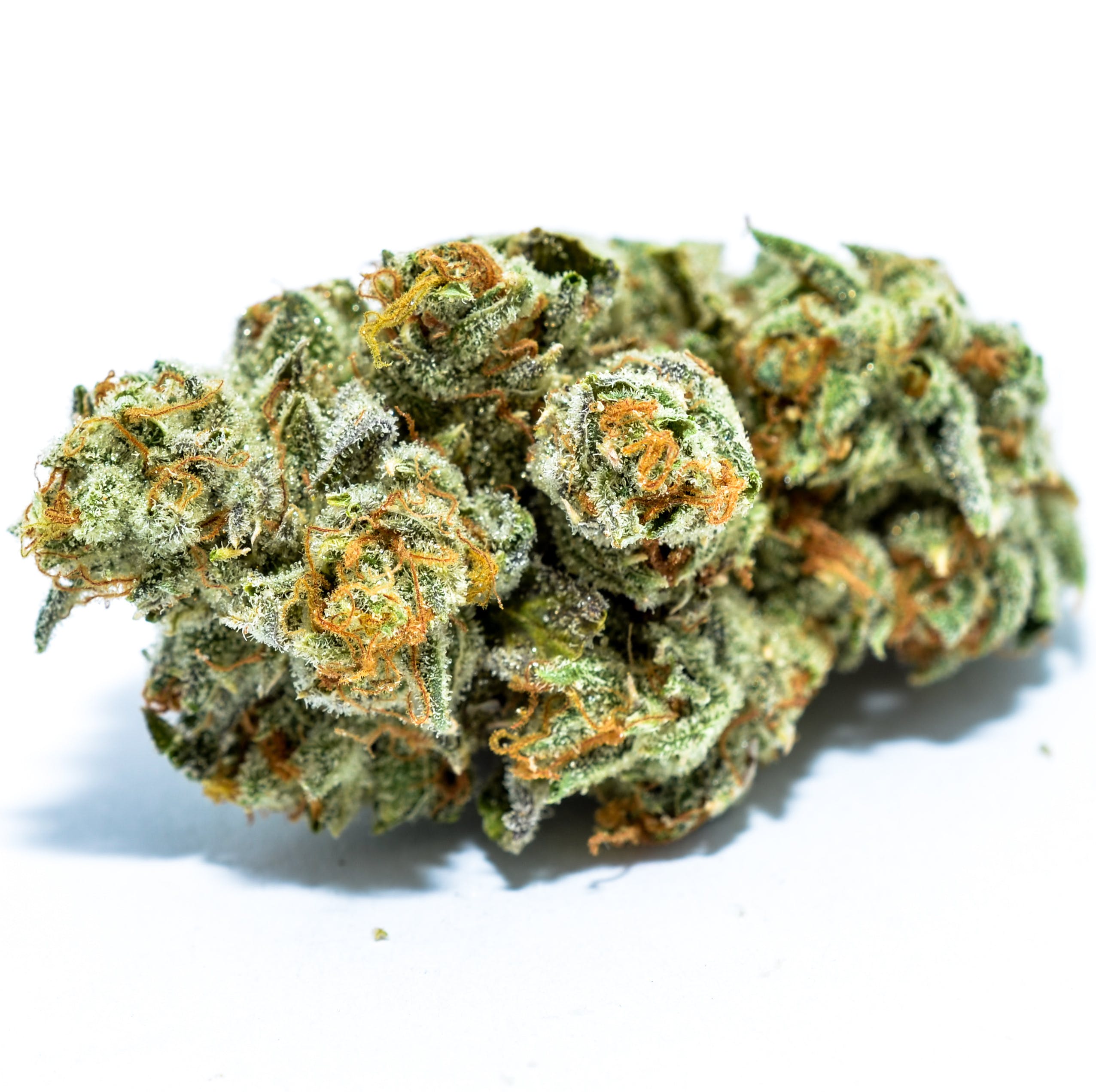 marijuana-dispensaries-zen-noho-pre-ico-in-north-hollywood-thc-design-24k