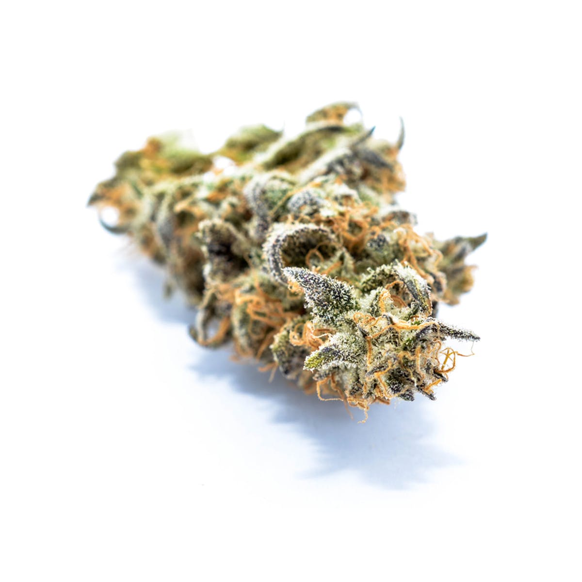 marijuana-dispensaries-pot-spot-collective-in-los-angeles-thc-design-grape-head