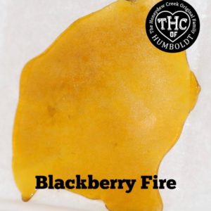 THC of Humboldt - Blackberry Fire Shatter