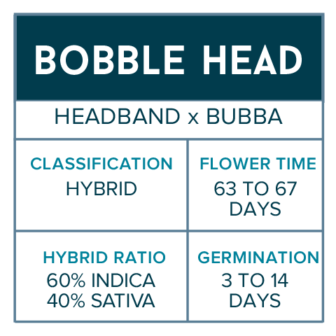 The Bank: Bobble Head
