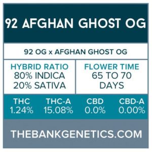 The Bank Genetics- 92 Afghan Ghost OG [REGULAR]