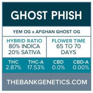 The Bank Genetics- Ghost Phish [REGULAR]