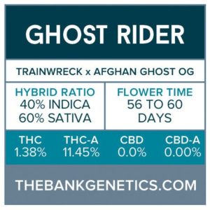 The Bank Genetics- Ghost Rider [REGULAR]