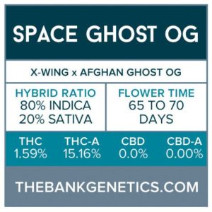 The Bank Genetics- Space Ghost OG [REGULAR]