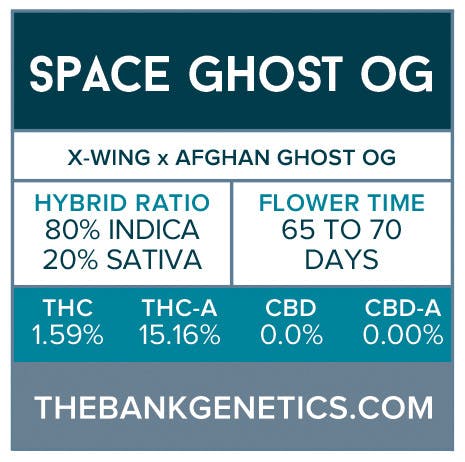 seed-the-bank-genetics-space-ghost-og-regular