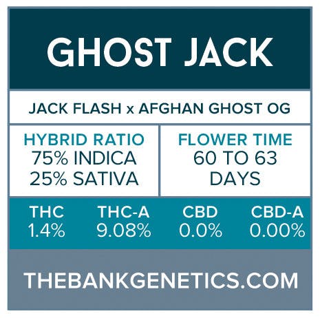 seed-the-bank-genetics-space-ghost-regular