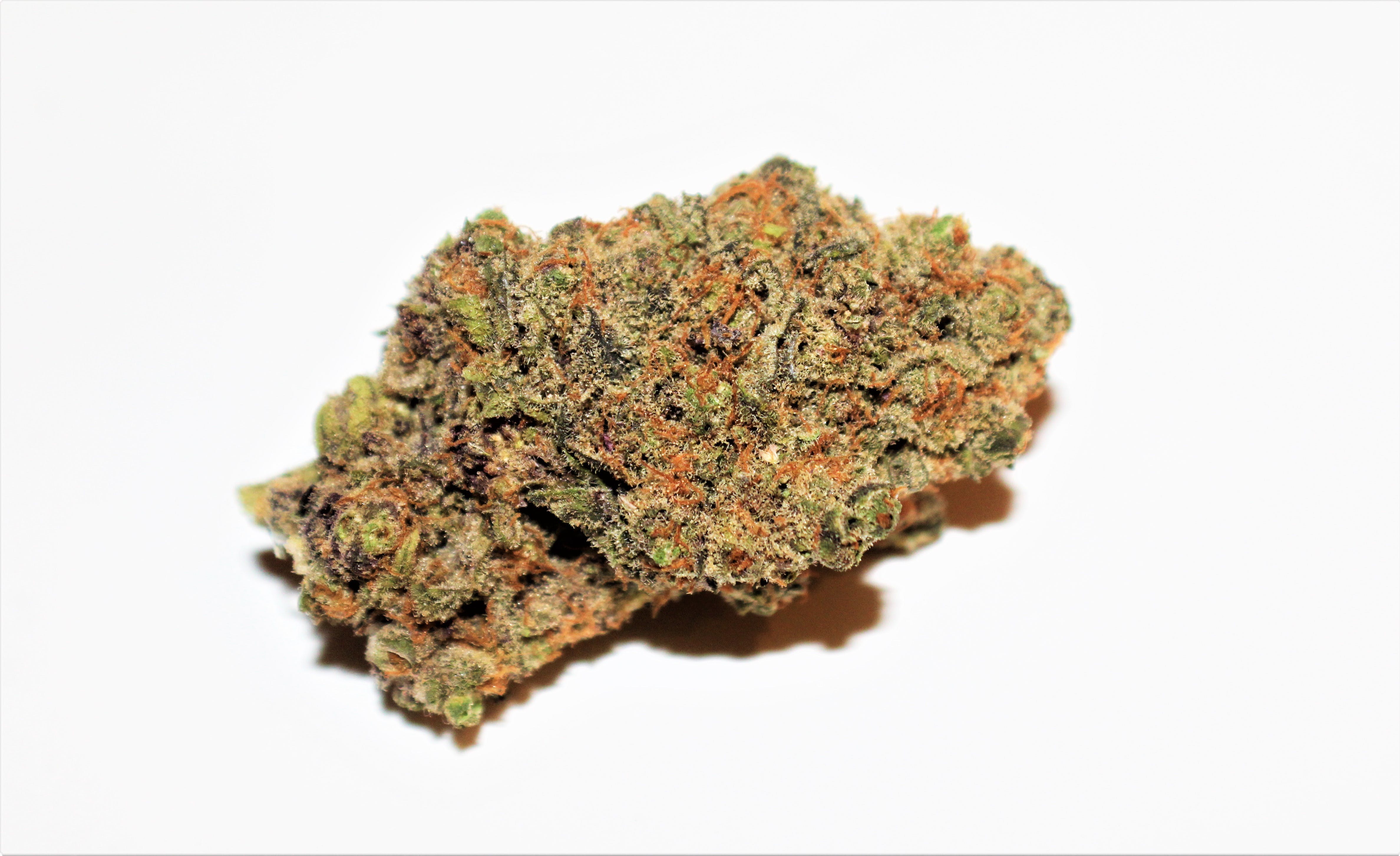indica-the-doctor-by-geek-farms