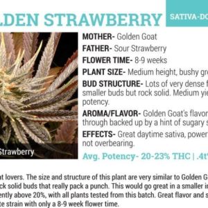 The Farm - Golden Strawberry | x6 Seeds