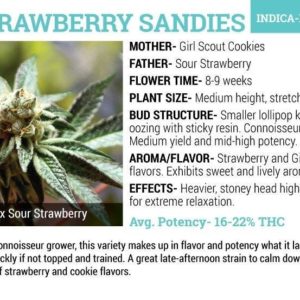 The Farm - Strawberry Sandies| x6 Seeds