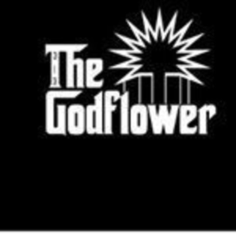 The Godflower Cured Resin: Godflower Kush